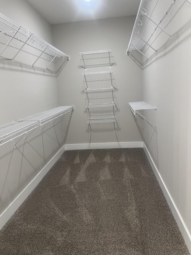 549 Willow Grv Ct Unit 69, Ringgold, GA 30736 - spacious closet featuring carpet floors
