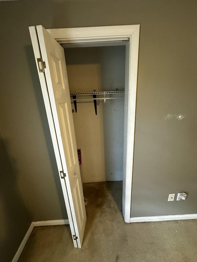219 Igou Ferry Rd, Soddy Daisy, TN 37379 - view of closet