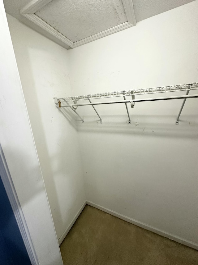 219 Igou Ferry Rd, Soddy Daisy, TN 37379 - spacious closet with carpet floors and attic access