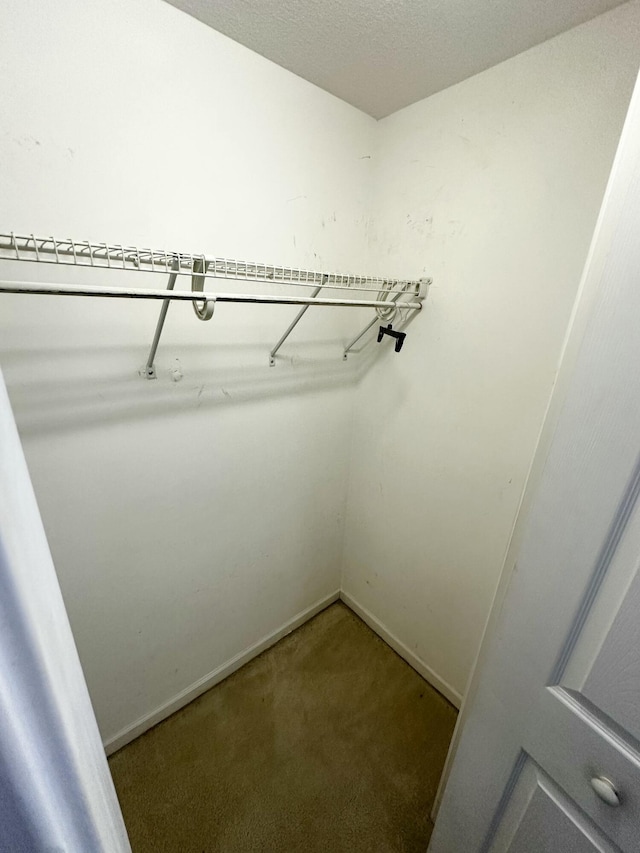 219 Igou Ferry Rd, Soddy Daisy, TN 37379 - walk in closet featuring carpet