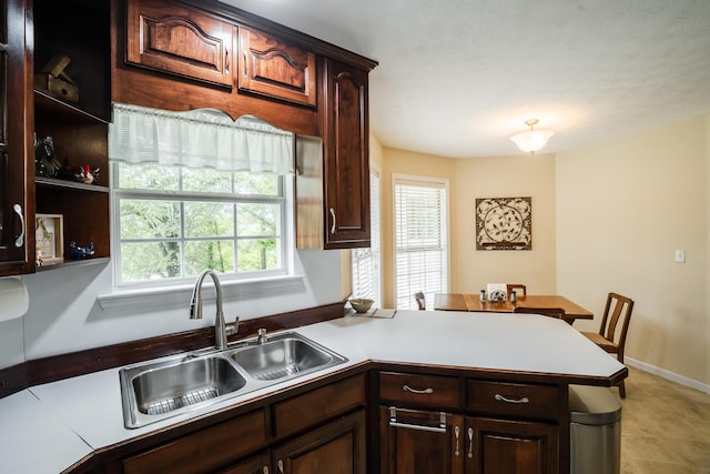 103 Paddle Wheel Ct, Cohutta, GA 30710 - kitchen featuring a sink, a peninsula, and dark brown cabinets