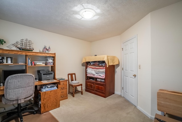 103 Paddle Wheel Ct, Cohutta, GA 30710 - office space with light carpet, baseboards, and a textured ceiling