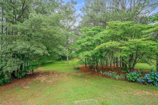 103 Paddle Wheel Ct, Cohutta, GA 30710 - view of grassy yard