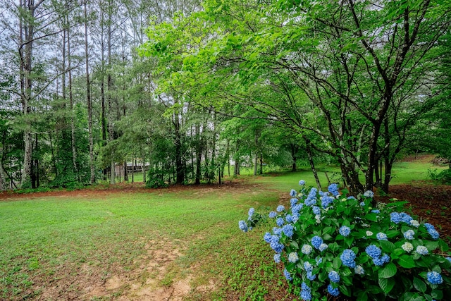 103 Paddle Wheel Ct, Cohutta, GA 30710 - view of grassy yard