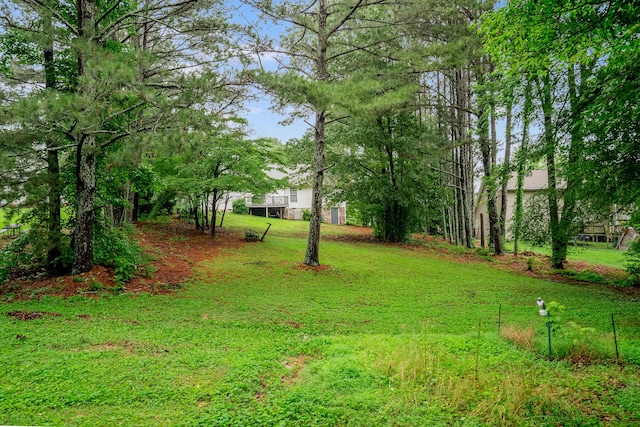 103 Paddle Wheel Ct, Cohutta, GA 30710 - view of green lawn