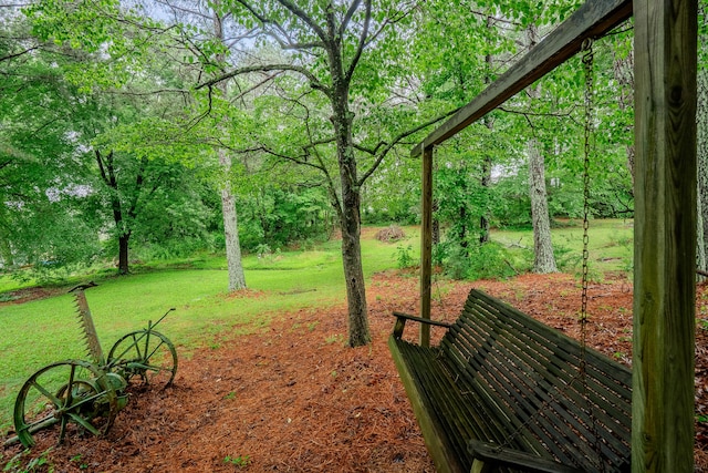 103 Paddle Wheel Ct, Cohutta, GA 30710 - view of green lawn