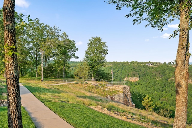240 Cash Cave Rd, Jasper, TN 37347 - photo 70