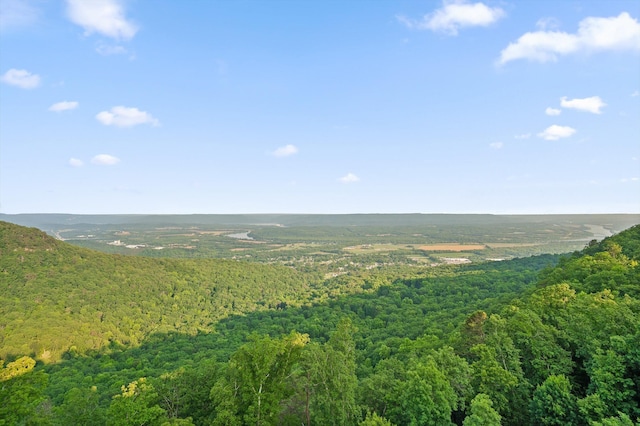 240 Cash Cave Rd, Jasper, TN 37347 - photo 102