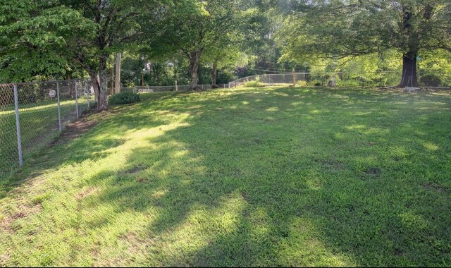 4022 Belvoir Pines Dr, Chattanooga, TN 37412 - view of yard