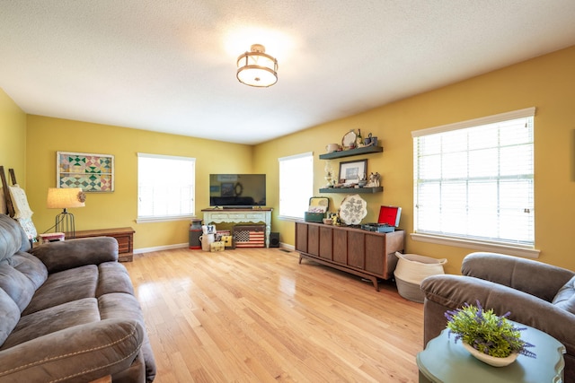 186 Mark Dr, Flintstone, GA 30725 - living area featuring light wood finished floors and baseboards