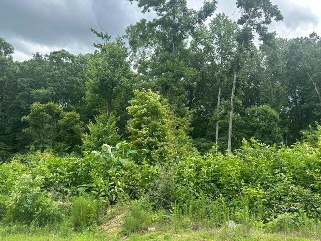 129 County Rd Unit 155, Riceville, TN 37370