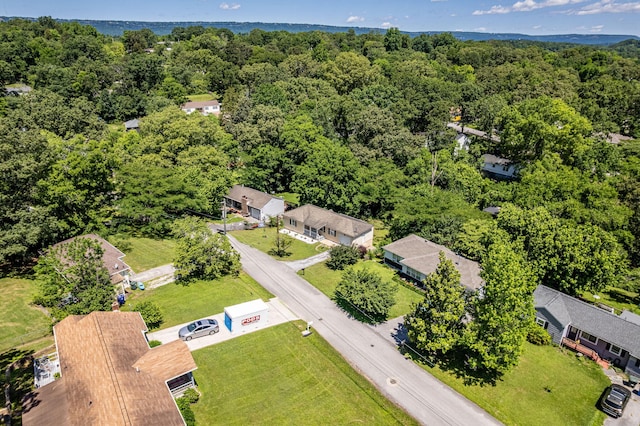 1427 Elm St, Chattanooga, TN 37415 - aerial view of a forest