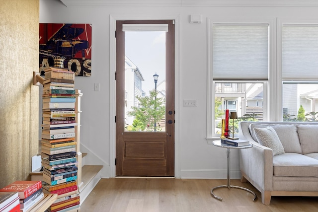 1531 Bowtie Rd, Chattanooga, TN 37421 - entryway featuring wood finished floors and plenty of natural light