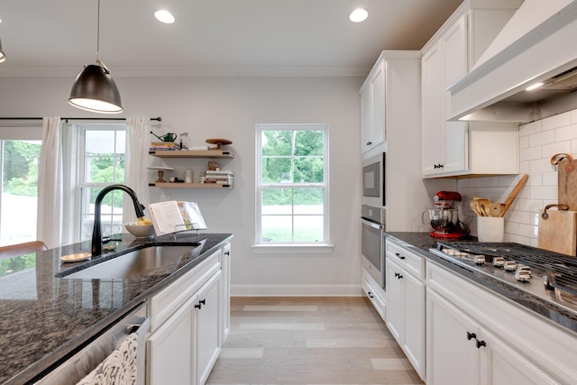 1269 Baldwin Field Cir, Hixson, TN 37343 - kitchen featuring a sink, premium range hood, appliances with stainless steel finishes, crown molding, and plenty of natural light