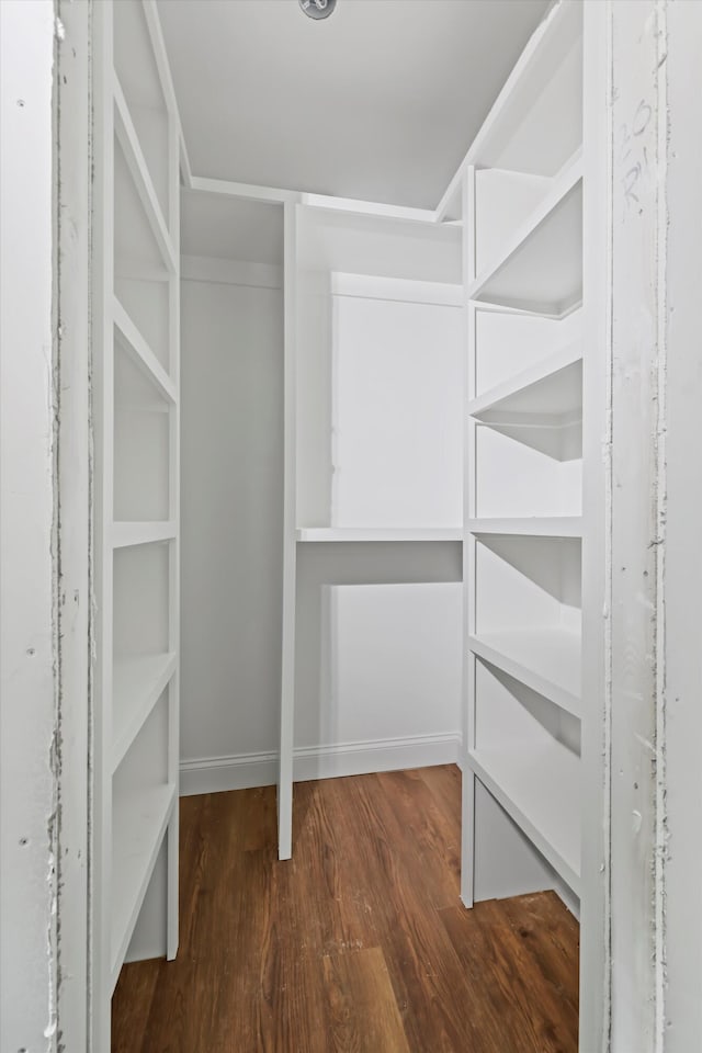 760 Keith Rd SE, Dalton, GA 30721 - walk in closet featuring dark wood-style flooring