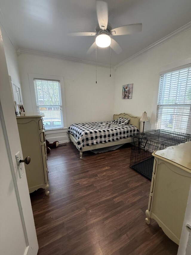 507 S Market St, Scottsboro, AL 35768 - photo 24