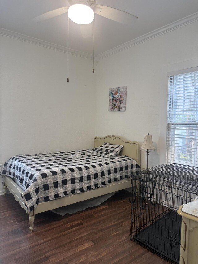 507 S Market St, Scottsboro, AL 35768 - photo 25