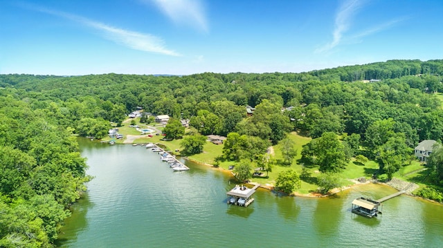 7054 Ski Club Rd, Harrison, TN 37341 - photo 7