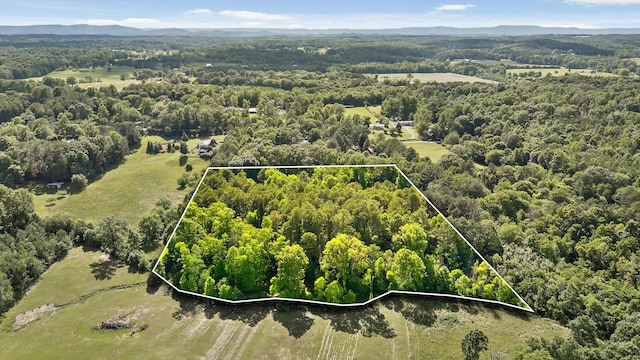 204 Chapman Ct, Lafayette, GA 30728 - aerial overview of property's location featuring property parcel outlined