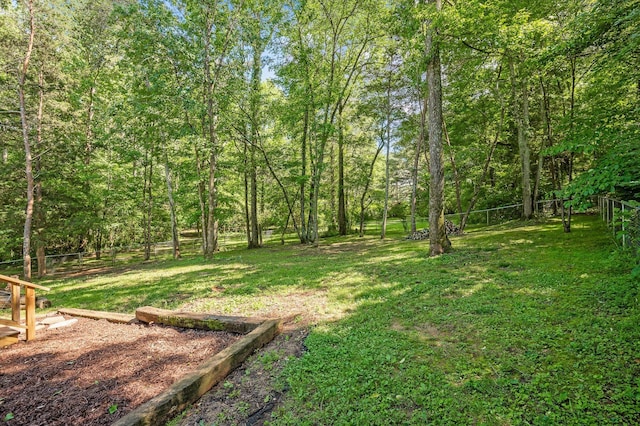 204 Chapman Ct, Lafayette, GA 30728 - view of yard featuring a wooded view