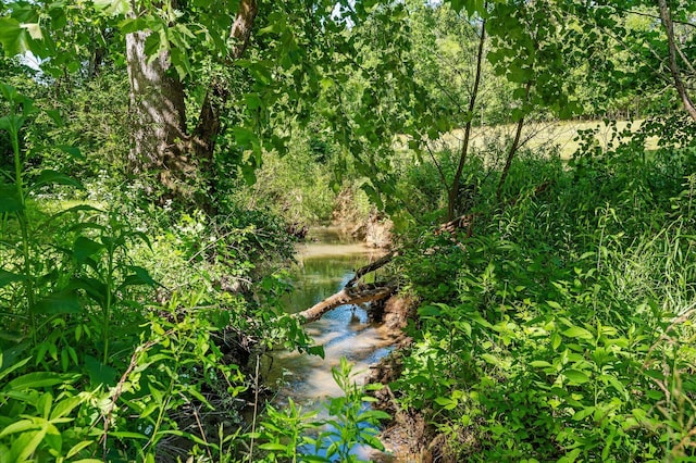 204 Chapman Ct, Lafayette, GA 30728 - view of local wilderness