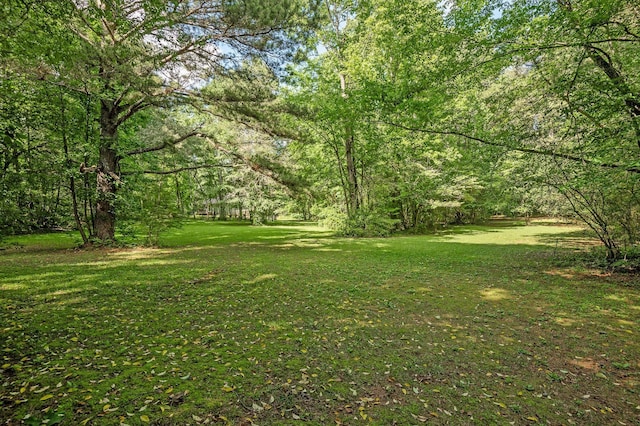 204 Chapman Ct, Lafayette, GA 30728 - view of grassy yard