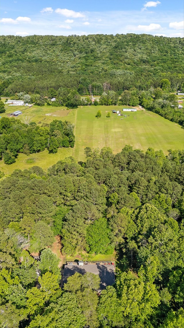 204 Chapman Ct, Lafayette, GA 30728 - bird's eye view of a forest