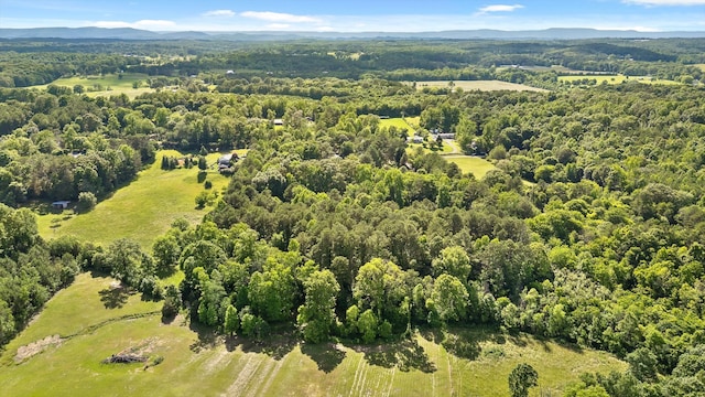 204 Chapman Ct, Lafayette, GA 30728 - bird's eye view of a forest