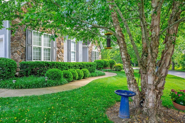 902 Cattails Dr, Ooltewah, TN 37363 - view of grassy yard