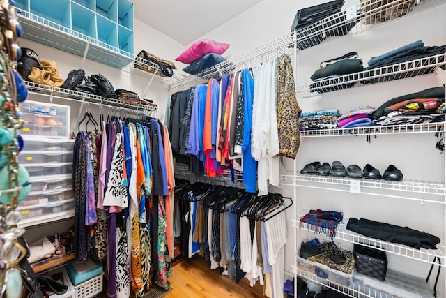 902 Cattails Dr, Ooltewah, TN 37363 - walk in closet featuring wood finished floors