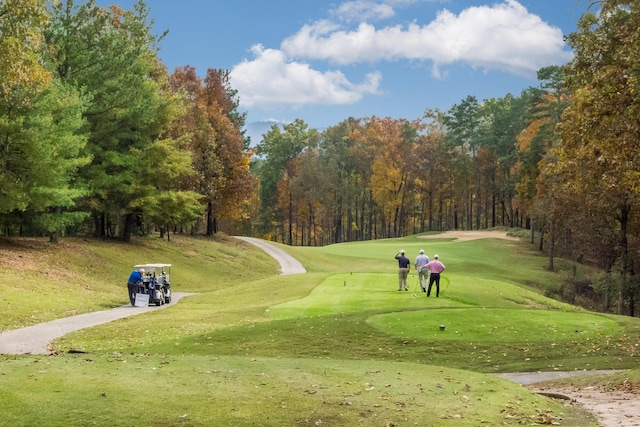 902 Cattails Dr, Ooltewah, TN 37363 - view of property's community with view of golf course and view of scattered trees