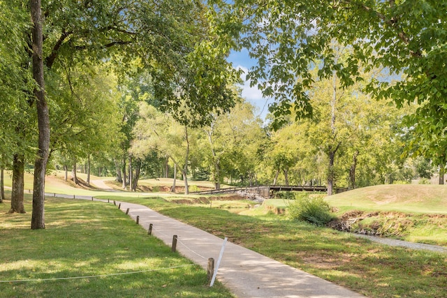 902 Cattails Dr, Ooltewah, TN 37363 - view of home's community featuring a yard and view of wooded area