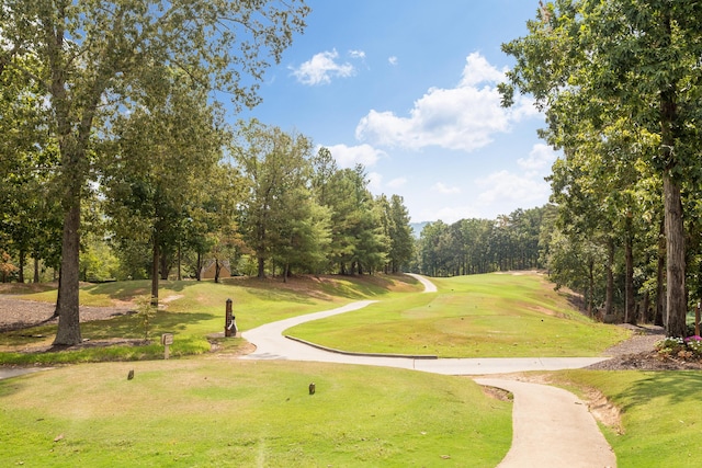 902 Cattails Dr, Ooltewah, TN 37363 - view of community with view of golf course, view of wooded area, and a yard