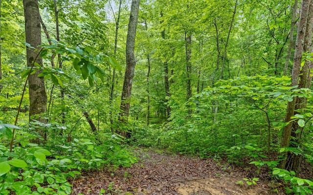 10ACRES Majestic Oaks Dr, Signal Mountain, TN 37377