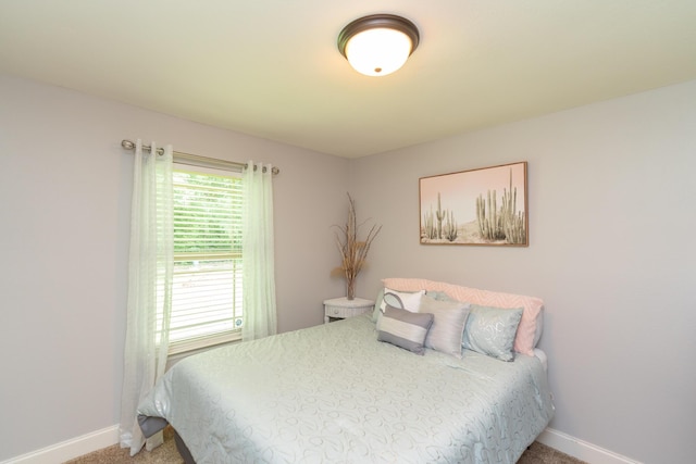 3613 Altamira Dr, Chattanooga, TN 37412 - bedroom featuring baseboards and carpet flooring