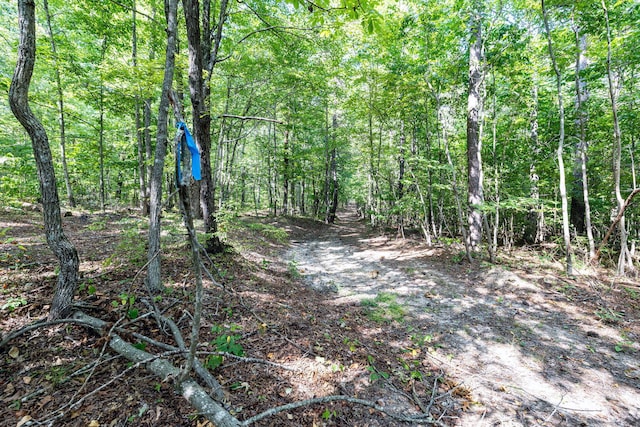 11003 Worley Rd, Soddy Daisy, TN 37379