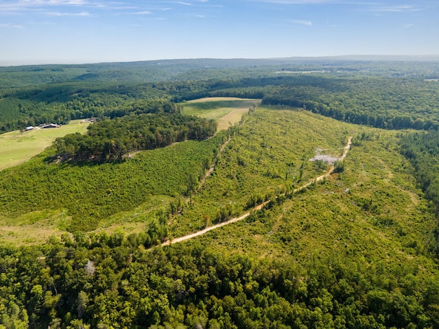 11003 Worley Rd, Soddy Daisy, TN 37379