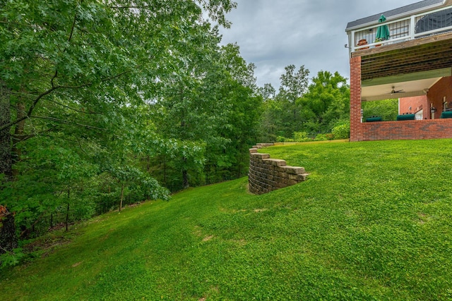 9548 Shadow Crossing Ln, Chattanooga, TN 37421 - view of green lawn