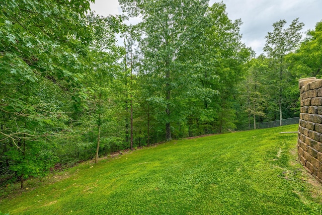 9548 Shadow Crossing Ln, Chattanooga, TN 37421 - view of yard featuring a forest view