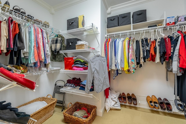 9548 Shadow Crossing Ln, Chattanooga, TN 37421 - spacious closet with carpet