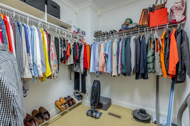 9548 Shadow Crossing Ln, Chattanooga, TN 37421 - spacious closet featuring carpet flooring