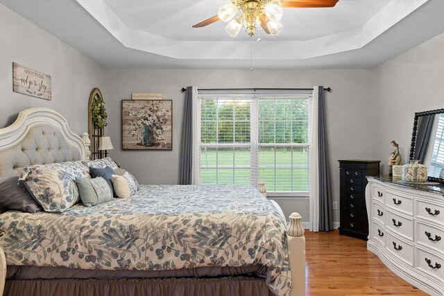 102 Water Mill Trce, Ringgold, GA 30736 - bedroom featuring light wood-style flooring, a raised ceiling, and a ceiling fan