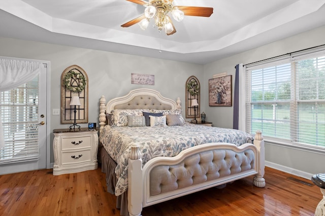 102 Water Mill Trce, Ringgold, GA 30736 - bedroom with light wood-style floors, a tray ceiling, and a ceiling fan