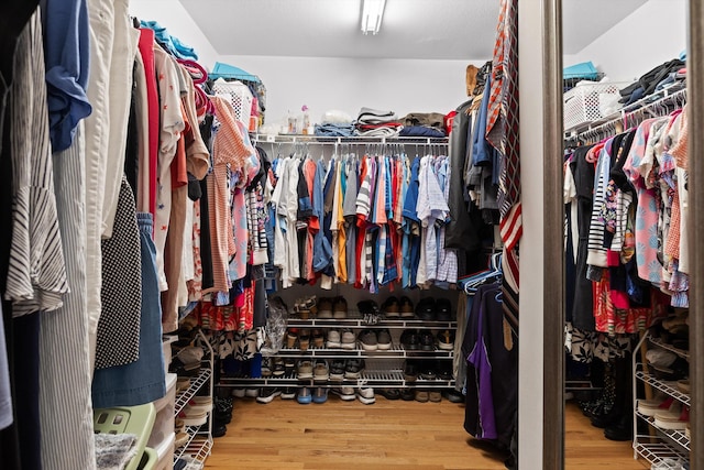 102 Water Mill Trce, Ringgold, GA 30736 - walk in closet with wood finished floors