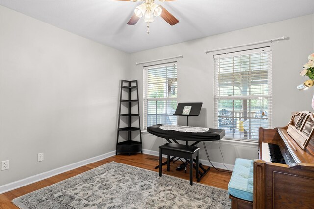 102 Water Mill Trce, Ringgold, GA 30736 - office area with wood finished floors and a ceiling fan