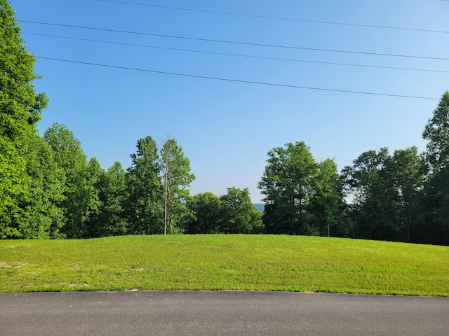 690 Preservation Dr Unit 34, South Pittsburg, TN 37380 - photo 1