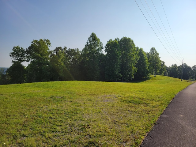 690 Preservation Dr Unit 34, South Pittsburg, TN 37380 - photo 3