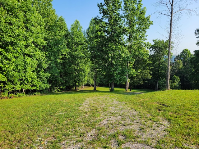 690 Preservation Dr Unit 34, South Pittsburg, TN 37380 - photo 4