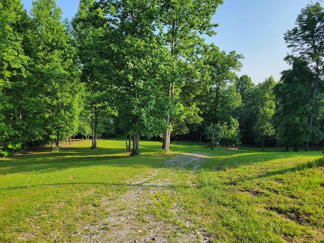 690 Preservation Dr Unit 34, South Pittsburg, TN 37380 - photo 6