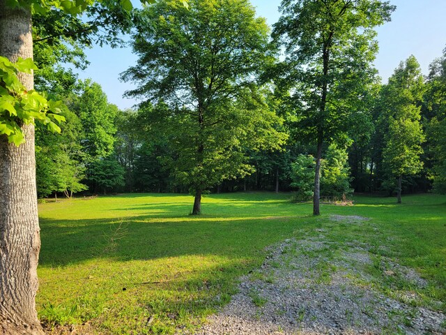 690 Preservation Dr Unit 34, South Pittsburg, TN 37380 - photo 7